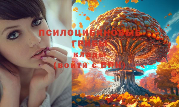 героин Абаза