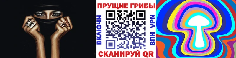 Псилоцибиновые грибы ЛСД  гидра как зайти  Кострома 