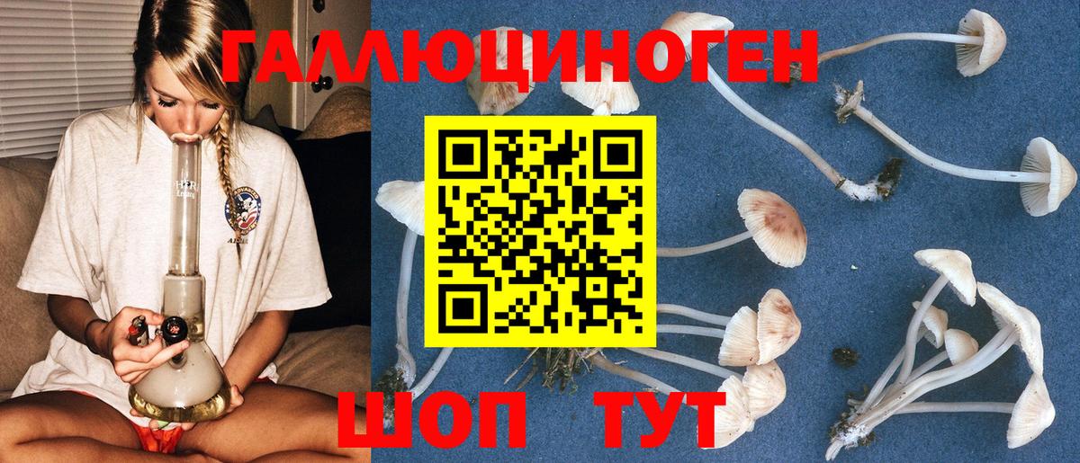 Галлюциногенные грибы ЛСД Кострома