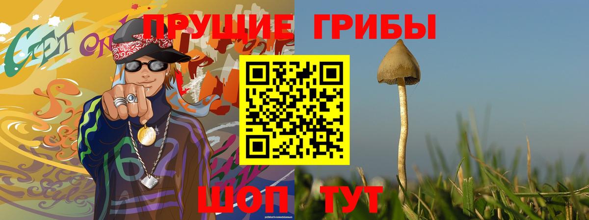 Кострома  Псилоцибиновые грибы MAGIC MUSHROOMS  Вход с VPN 